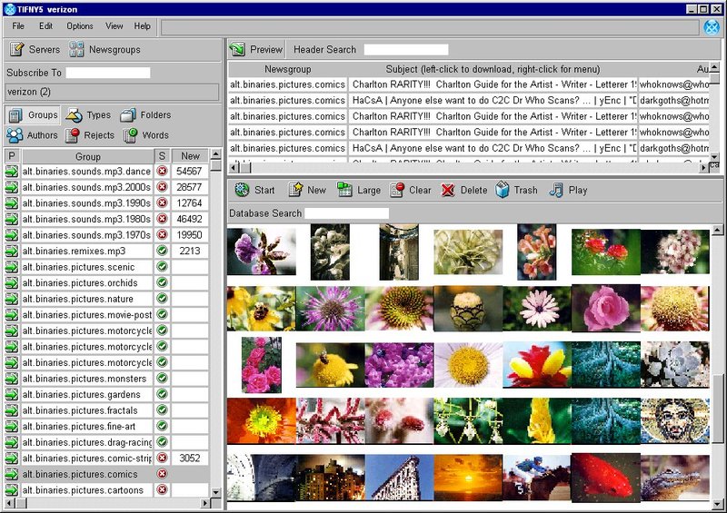 TIFNY Screenshot